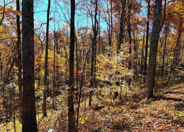 Property at 107 Firtree Dr, Wintergreen Resort, VA 22967