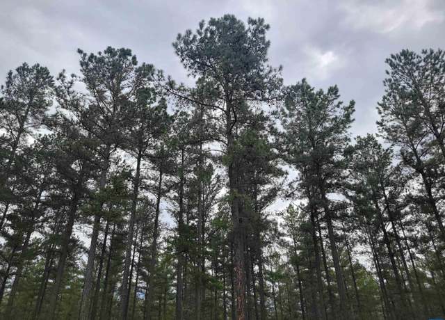 Property at 5 5 Piney Mountain Dr, Palmyra, VA 22963