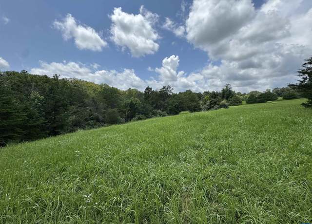 Property at TBD Fishpond Rd, Howardsville, VA 24562