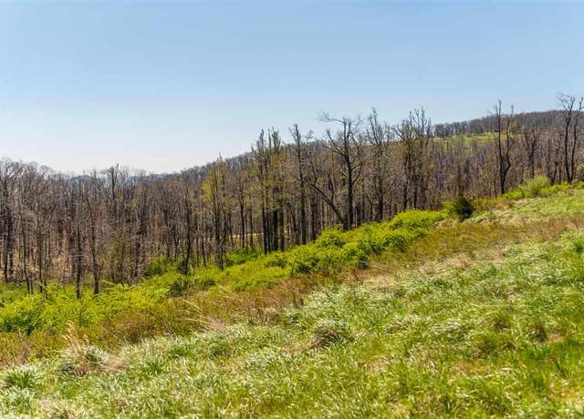 Property at Lot 16 Howardsville Tpke, Afton, VA 22920