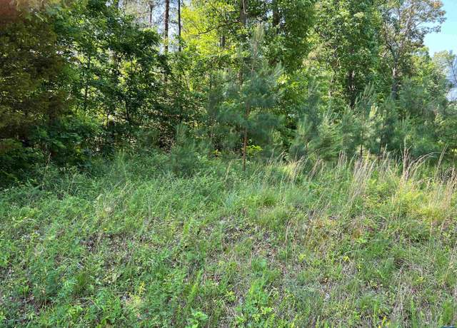 Property at Lot A 6 91 A6 Tye River Rd, Arrington, VA 22922