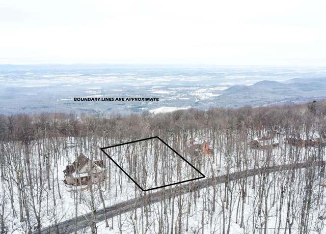 Property at 1331 Laurel Springs Rd, Wintergreen Resort, VA 22967