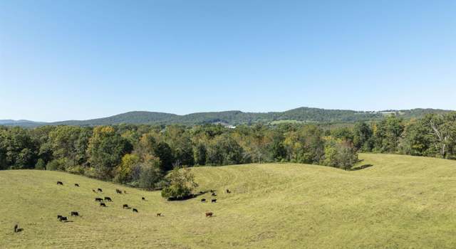 Photo of 14560 Madison Run Rd, Gordonsville, VA 22942
