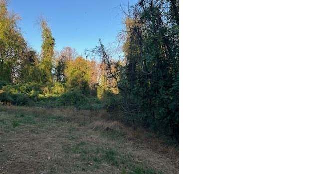 Photo of 2833 Vest Walker Rd, North Garden, VA 22959