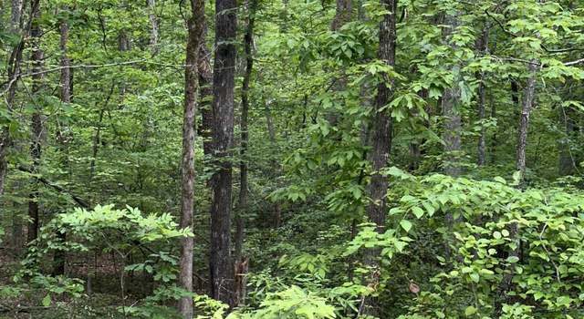 Photo of 000 41 Harbor Dr, Orange, VA 22960