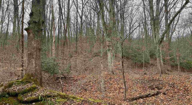 Photo of 2505 Dutch Creek Ln, Shipman, VA 22971