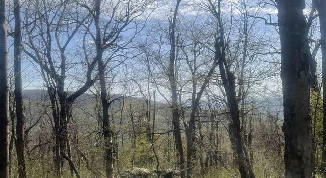 Photo of Lot 17 Woods Gap Rd, Yancey Mills, VA 22932