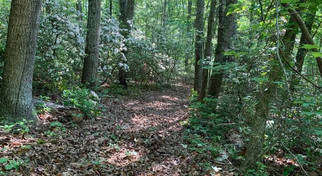 Photo of TM 23-76 76 Arrington Mountain Rd, Haywood, VA 22722
