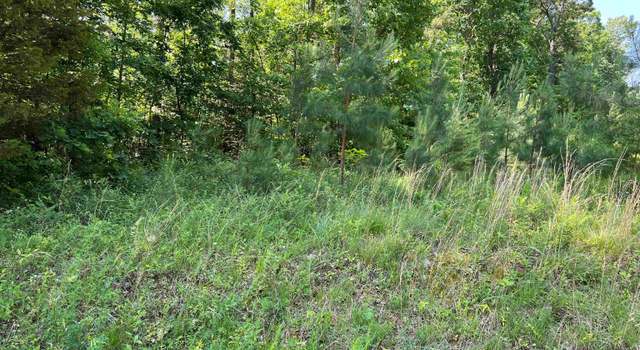 Photo of Lot A 6 91 A6 Tye River Rd, Arrington, VA 22922