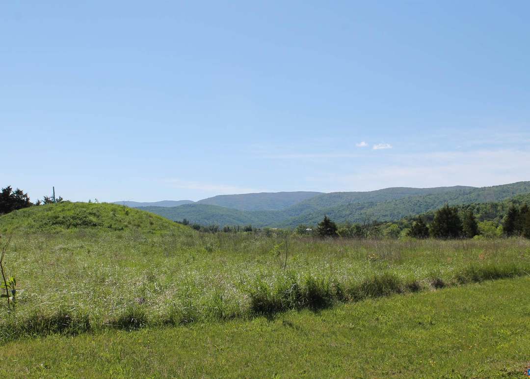 TBD Stone Brook Dr, Stanardsville, VA 22973