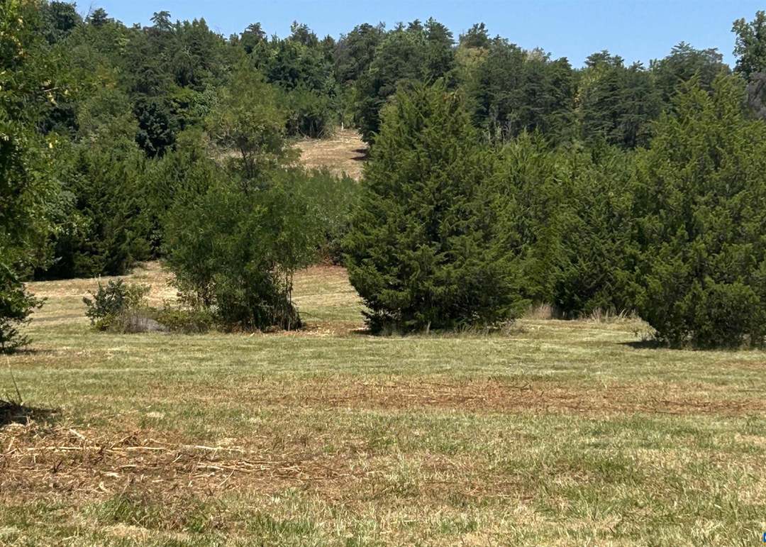 TBD Stone Brook Dr, Stanardsville, VA 22973