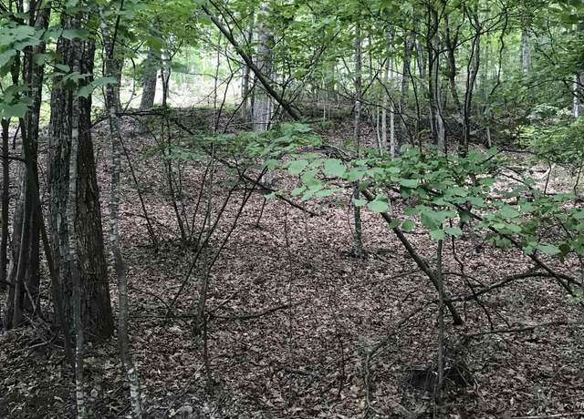 Property at 43 43 High Valley South, Monterey, VA 24465