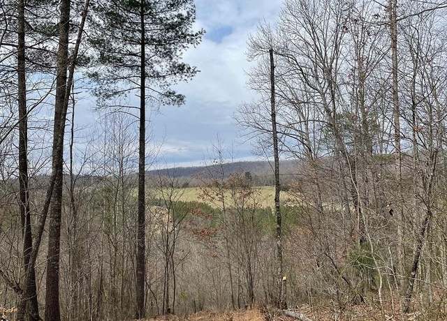 Property at 70-131 Estaline Valley Rd, Craigsville, VA 24430