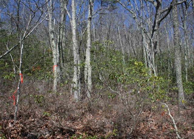 Property at TBD 55 High Valley South, Monterey, VA 24465
