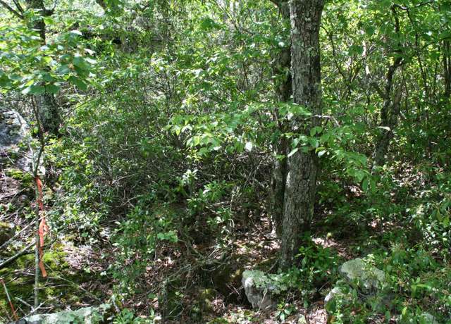 Property at TBD 55 High Valley South, Monterey, VA 24465