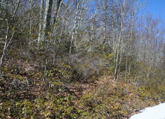 Property at TBD 57 High Valley North, Monterey, VA 24465