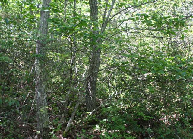 Property at TBD 57 High Valley North, Monterey, VA 24465