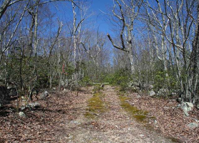 Property at TBD 88 Summit Dr, Monterey, VA 24465