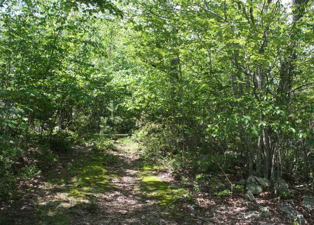 Property at TBD 88 Summit Dr, Monterey, VA 24465