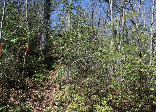 Property at TBD 89 Summit Dr, Monterey, VA 24465