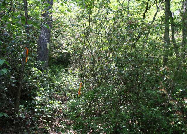 Property at TBD 89 Summit Dr, Monterey, VA 24465