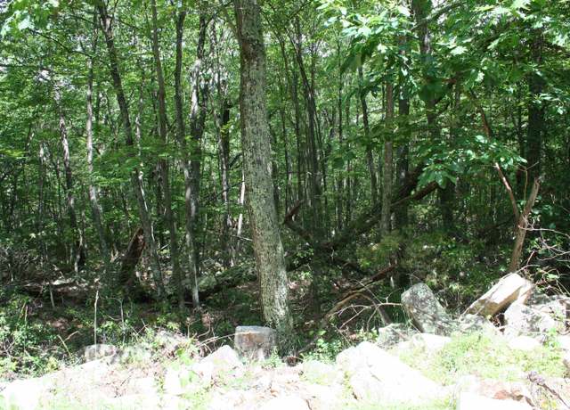 Property at TBD 75 High Valley South, Monterey, VA 24465