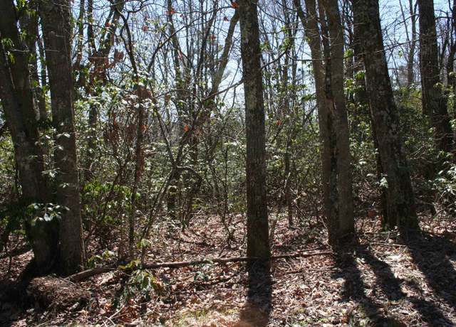 Property at TBD Summit Dr. 86 Summit Dr N, Monterey, VA 24465