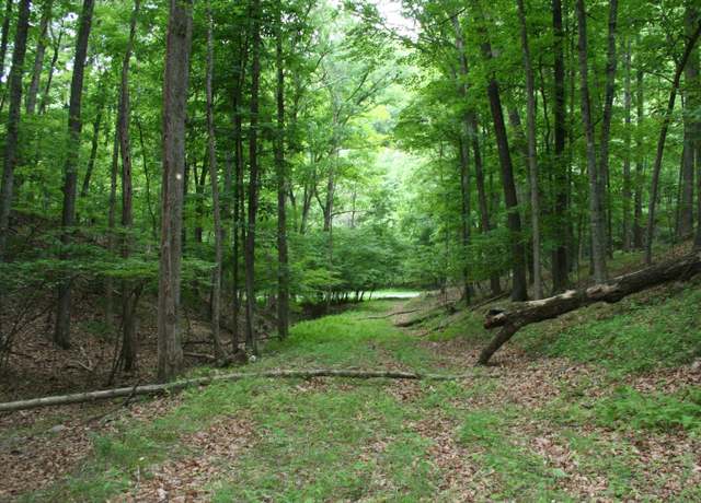 Property at 20 20v High Valley South, Monterey, VA 24465