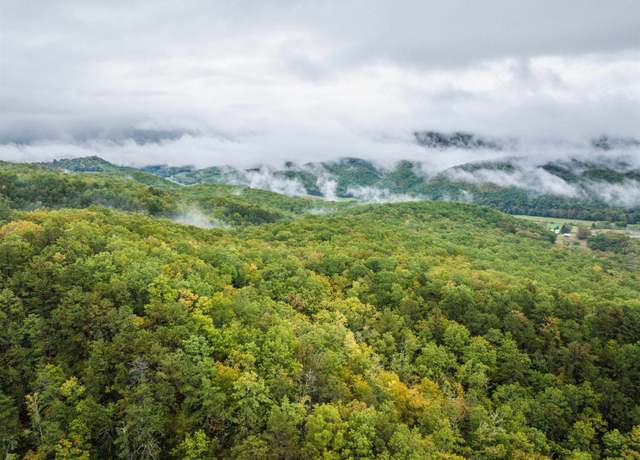 Property at TBD Whippoorwill Ln, Monterey, VA 24465