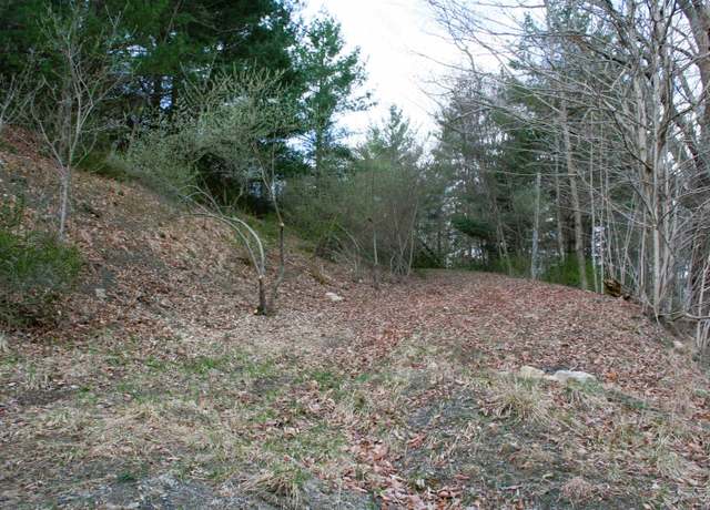 Property at TBD E Highland Tpke E, Monterey, VA 24465