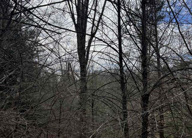 Property at TBd Cold Springs Rd, Raphine, VA 24472