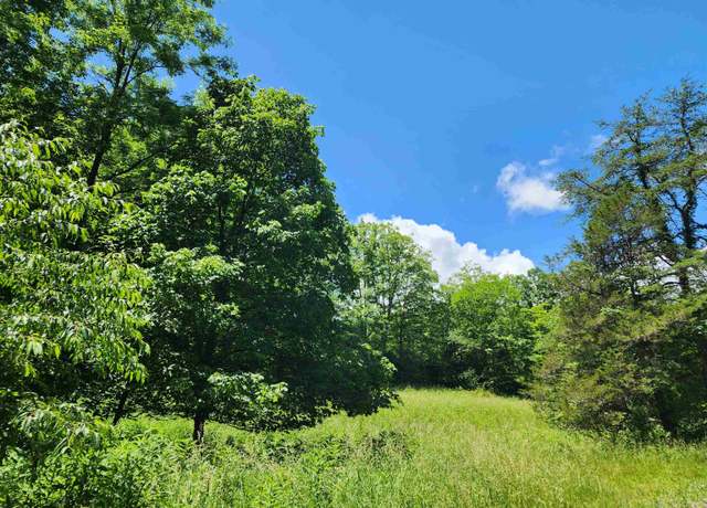Property at TBD Cowpasture River Rd N, Head Waters, VA 24442