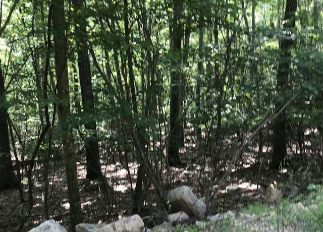 Property at 41 41 High Valley Dr S, Monterey, VA 24465