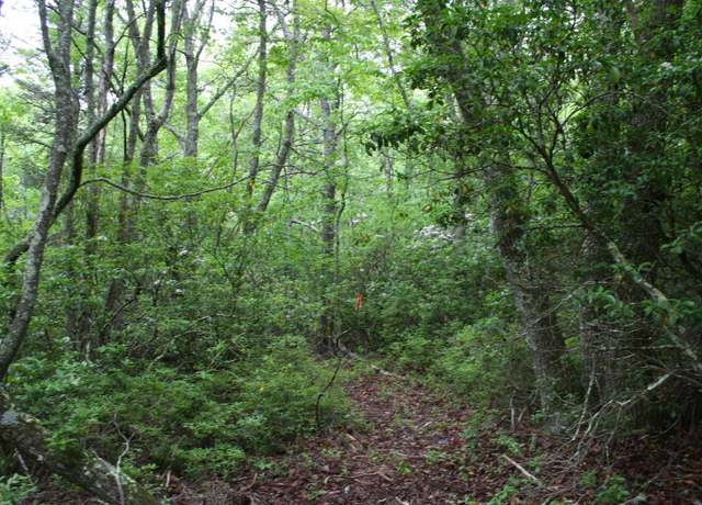 Property at Lot 90 90 Summit Dr, Monterey, VA 24465
