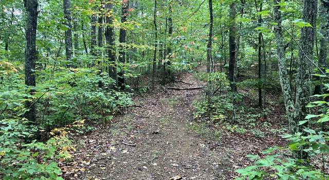 Photo of 305 Stuples Hollow Rd, Craigsville, VA 24430