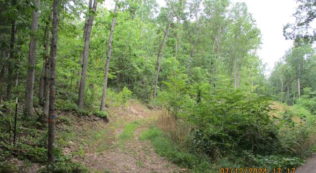 Photo of TBD Black Bear Ln #8, Crimora, VA 24431