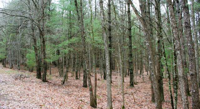 Photo of TBD Lowry Rd, Monterey, VA 24465