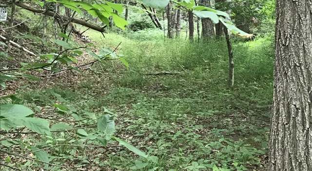 Photo of Rt. 164 N Cowpasture River Rd N, Headwaters, VA 24442