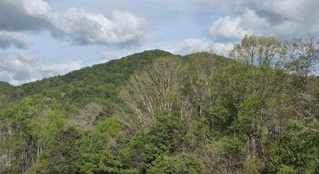 Photo of Tbd, Natural Bridge Station, VA 24579