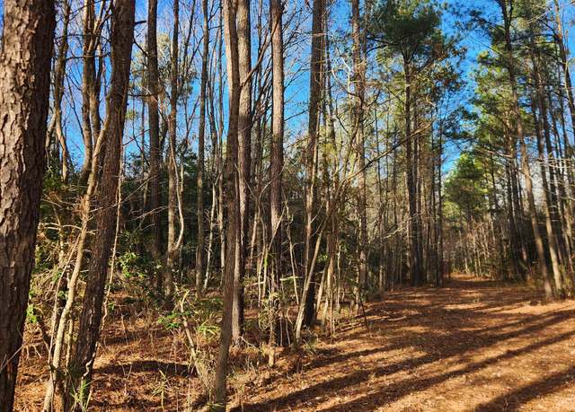 Property at 66 Church St, Windsor, VA 23487