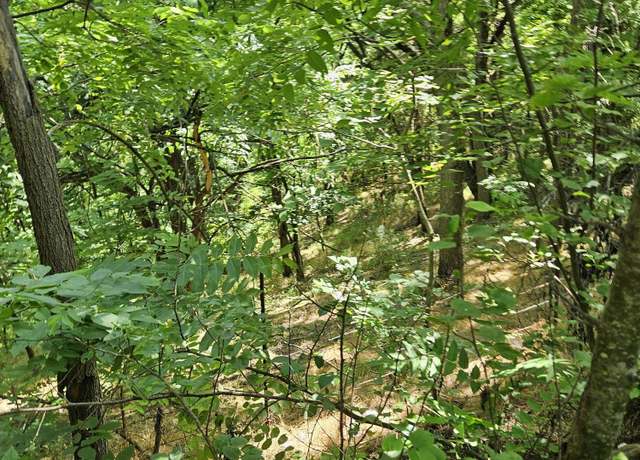Property at 3 acres Mossy Creek Rd, Mount Solon, VA 22843