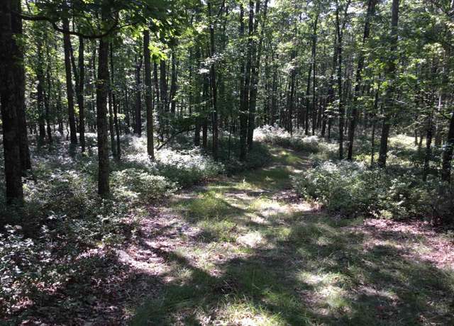 Property at TBD Hinkle Mountain Rd, Petersburg, WV 26847