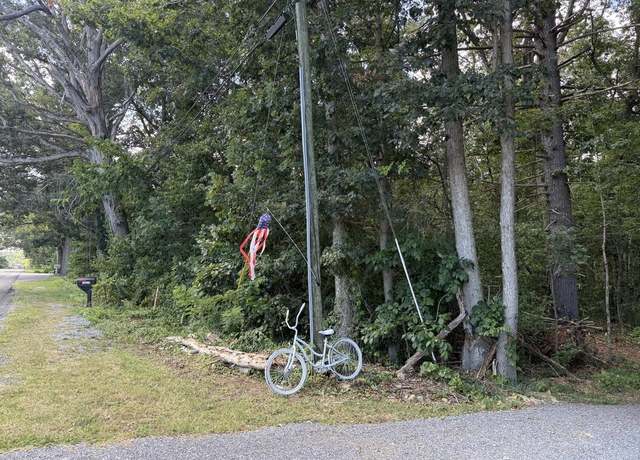 Property at TBD Rockingham Pike, Elkton, VA 22827