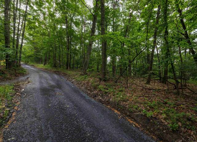 Property at 0 Tower Mountain Ln, Mount Jackson, VA 22842