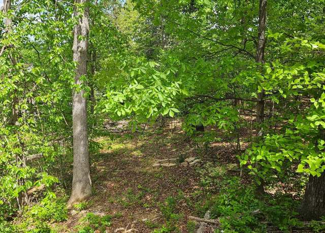 Property at 0 Ridge View Ln, Elkton, VA 22827