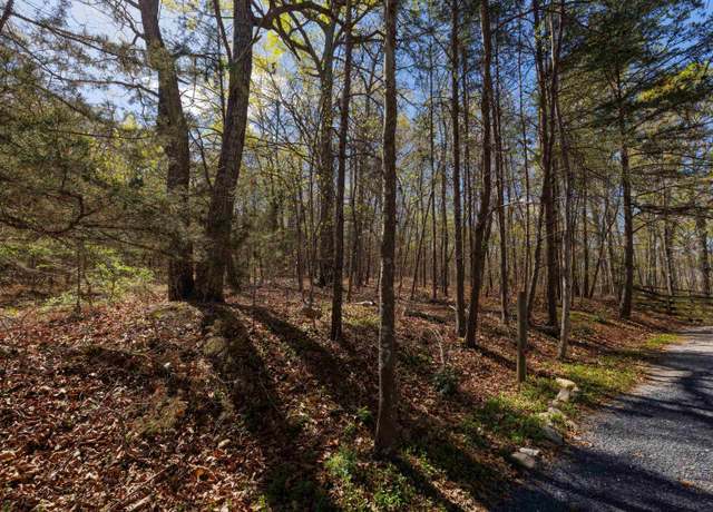 Property at TBD Shotgun Spring Rd, New Market, VA 22844