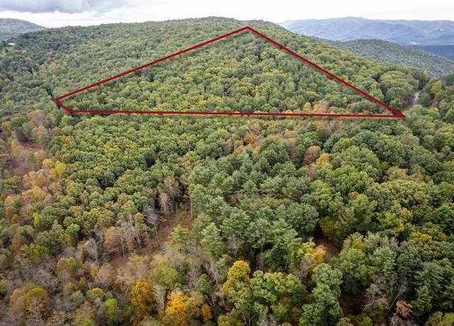 Property at 0-22.72 ac Dry Run Rd, Sugar Grove, WV 26815
