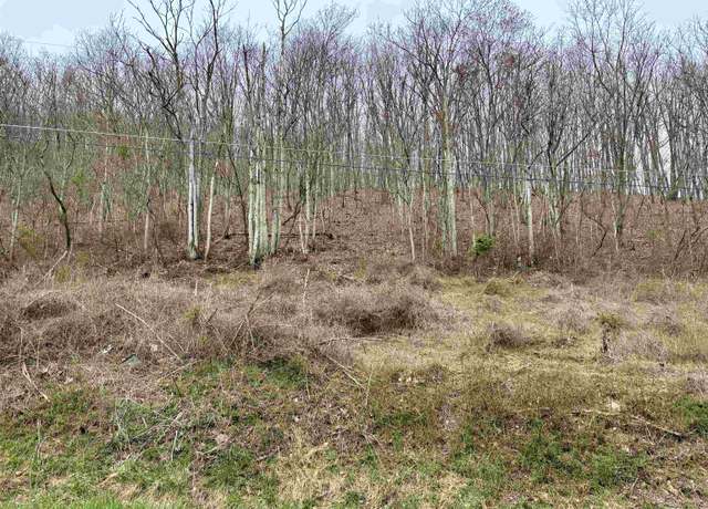 Property at Lot 11 B Lucas Hollow Rd, Stanley, VA 22851