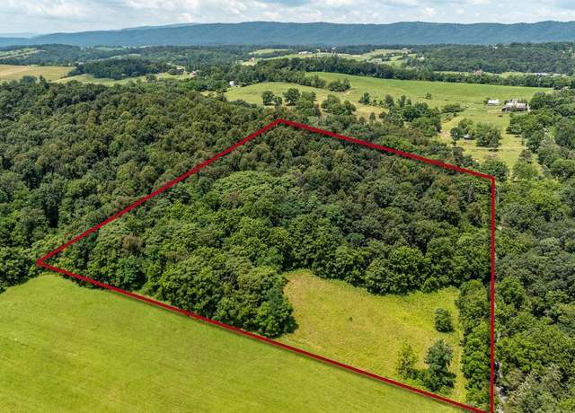 Property at TBD Williamsburg Rd, Linville, VA 22834