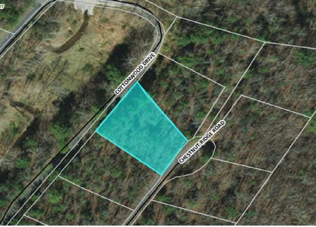 Property at 0 Chestnut Ridge Rd #445, Mount Jackson, VA 22842